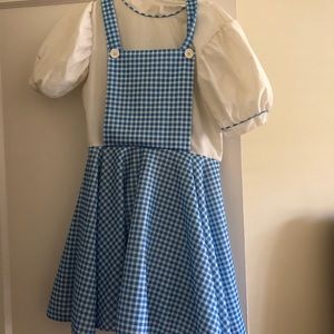 Adult Dorothy Dress